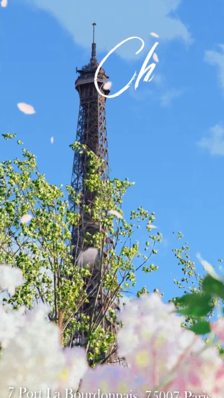 Chez Mila: the Eiffel Tower behind blossom, petals falling.
